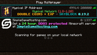 Hypixel IP