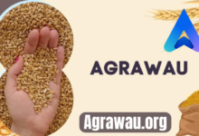 Agrawau